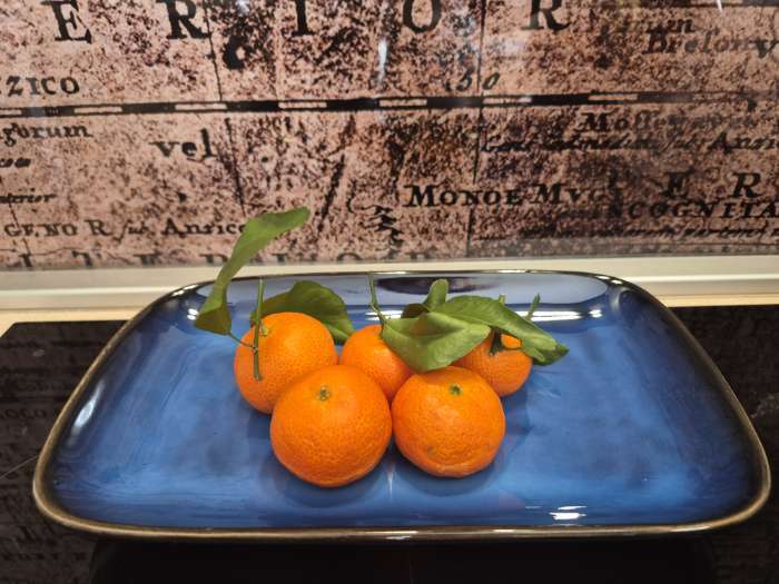 Фотография покупателя товара Блюдо керамическое прямоугольное «Лунная тропа», 19×11 см - Фото 1