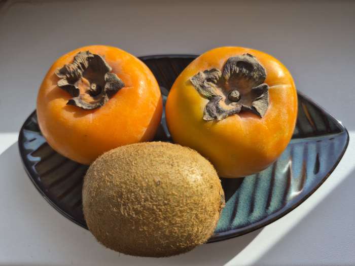 Фотография покупателя товара Блюдо сервировочное «Лист», керамика, 20×12.5 см, бирюзовое - Фото 2