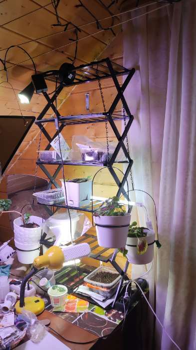 Фотография покупателя товара Стеллаж универсальный, 5 полок, 50×25×89 см, напольный, открытый, белый, Greengo - Фото 1