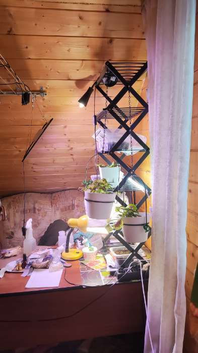 Фотография покупателя товара Стеллаж универсальный, 5 полок, 50×25×89 см, напольный, открытый, белый, Greengo - Фото 2