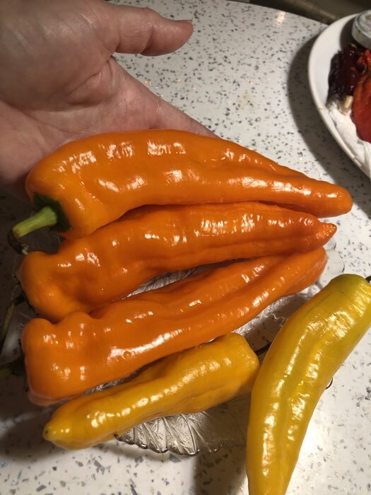 Фотография покупателя товара Семена Перец сладкий "Лисий хвост", 10 шт - Фото 6