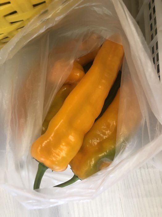 Фотография покупателя товара Семена Перец сладкий "Лисий хвост", 10 шт - Фото 1