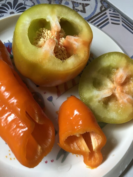 Фотография покупателя товара Семена Перец сладкий "Лисий хвост", 10 шт - Фото 3