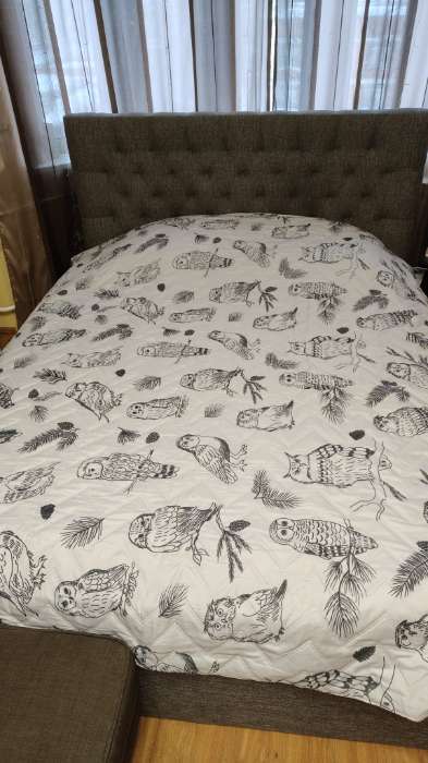 Фотография покупателя товара Покрывало LoveLife евро макси Owls 240×210±5 см, микрофайбер, 100% п/э - Фото 3