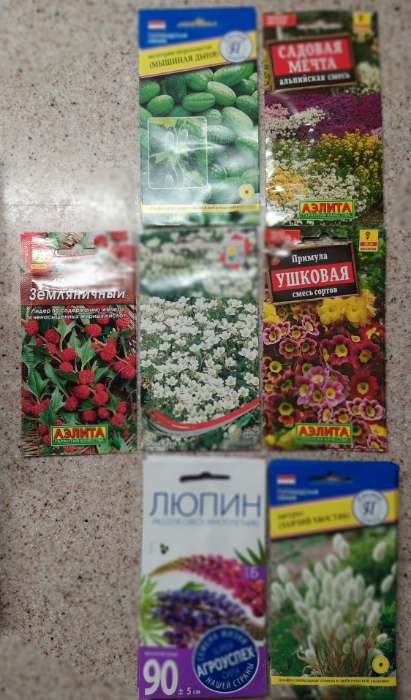 Фотография покупателя товара Семена цветов Альпийская смесь "Садовая мечта", 0,5 г - Фото 2