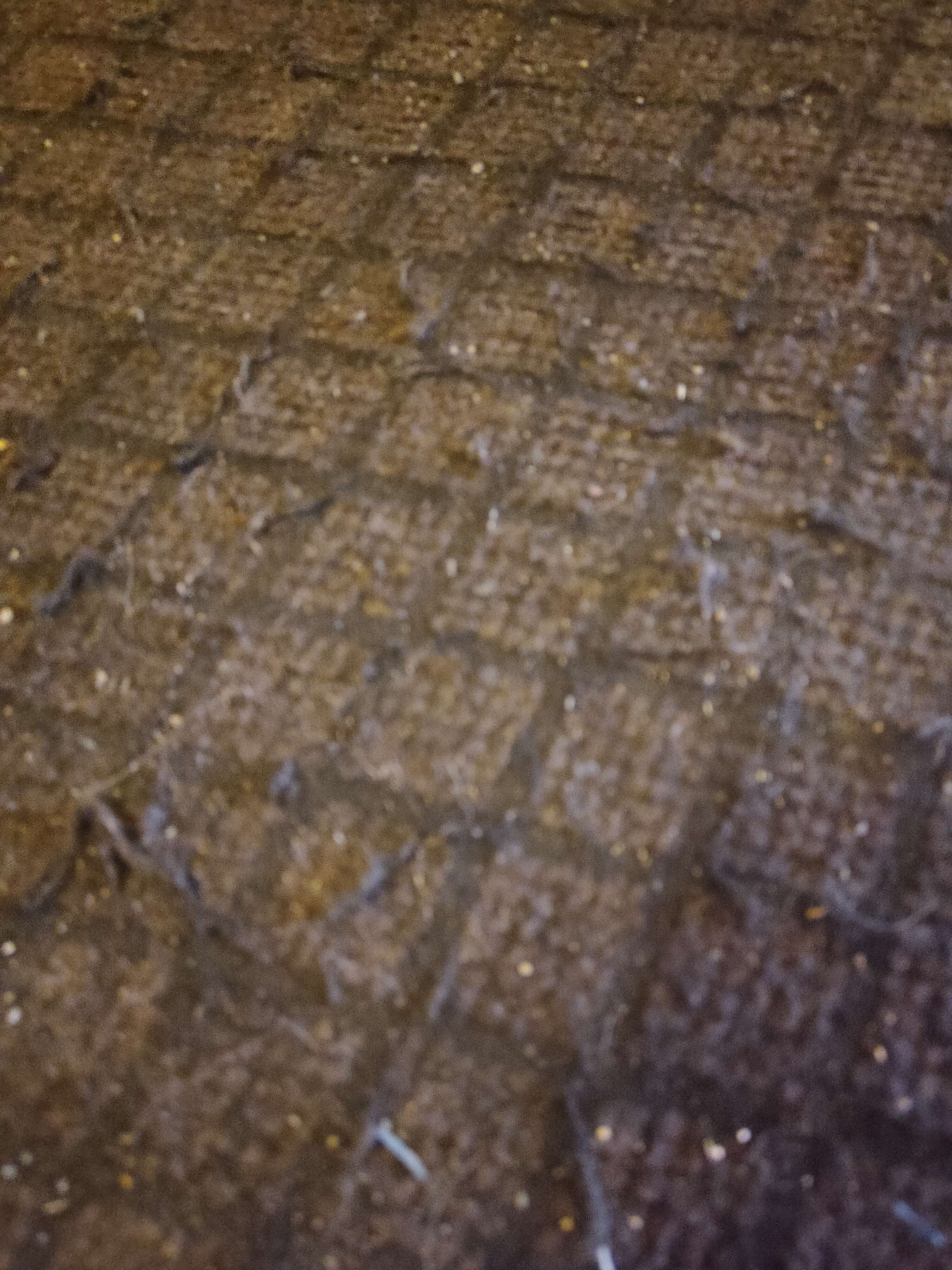 Фотография покупателя товара Коврик придверный влаговпитывающий «Галант», 80×120 см, цвет коричневый - Фото 1