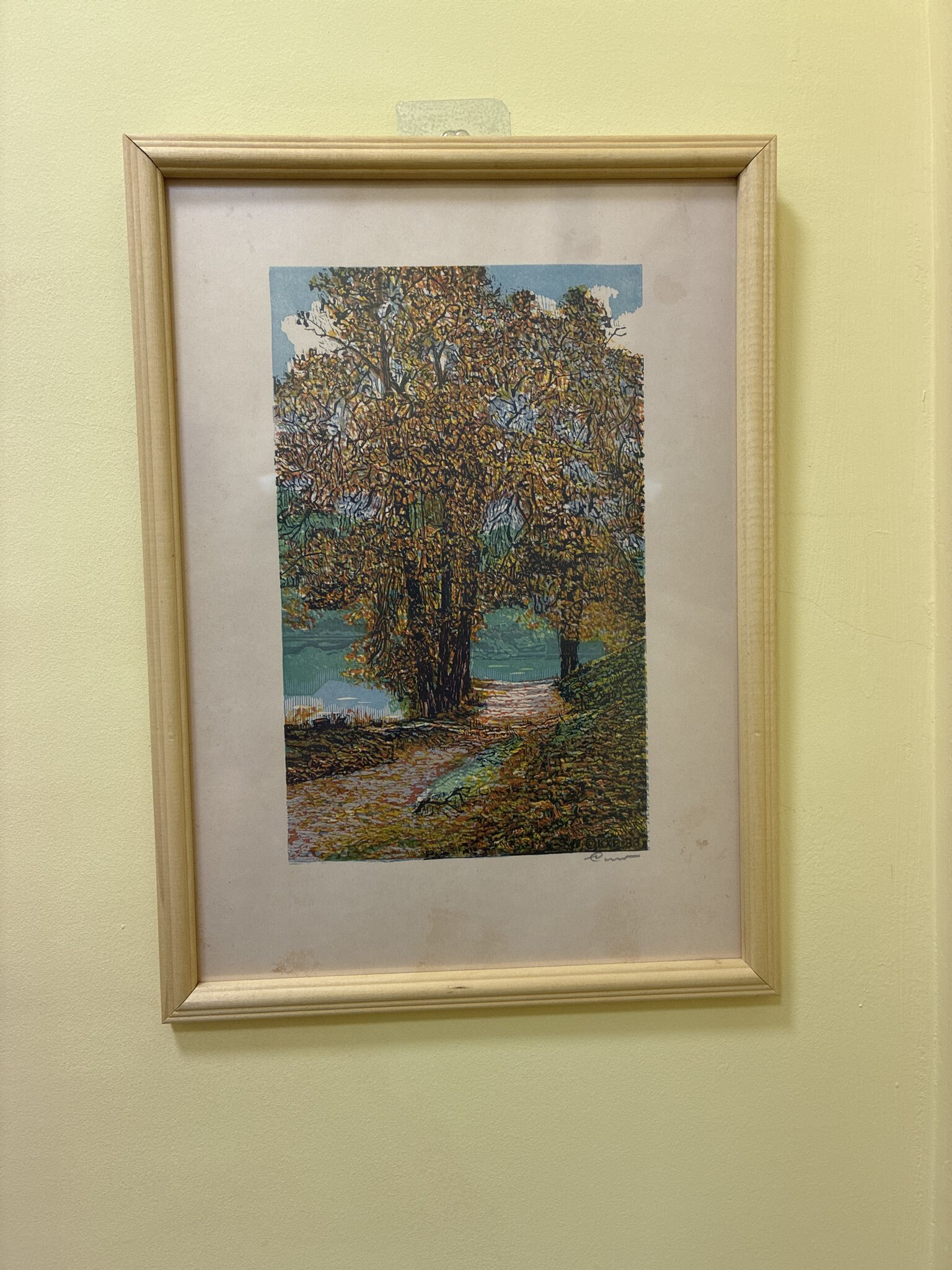 Фотография покупателя товара Фоторамка для фото 25×35 см Katrina, сосна (пластиковый экран), дерево - Фото 1