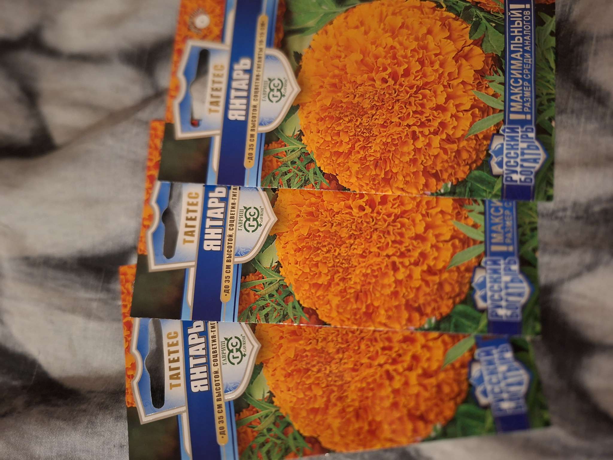 Фотография покупателя товара Семена цветов Бархатцы прямые (Тагетес) «Янтарь», ц/п, 30 см, 0.1 г - Фото 1