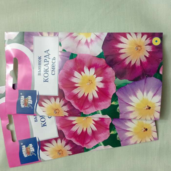 Фотография покупателя товара Семена цветов Цв Вьюнок кокарда Смесь,0,5 гр - Фото 1