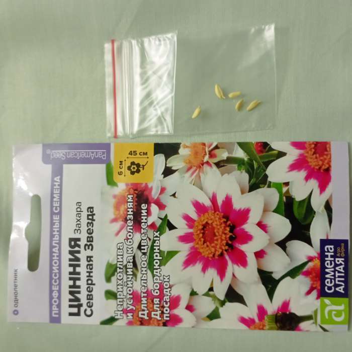 Фотография покупателя товара Семена цветов Цинния Захара «Северная звезда», 5 шт., «Семена Алтая» - Фото 2