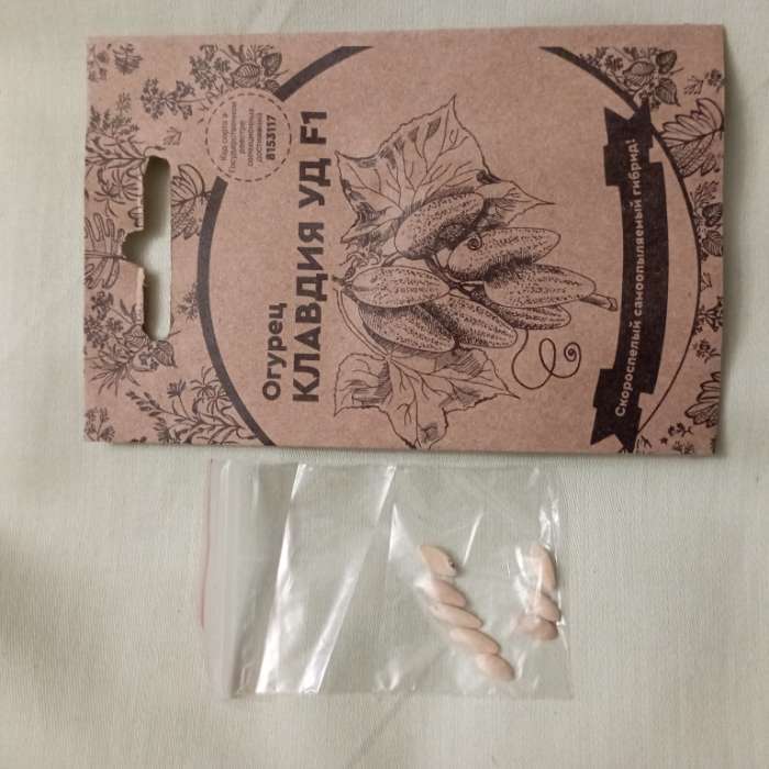 Фотография покупателя товара Семена Огурец "Клавдия", F1, 8 шт - Фото 1