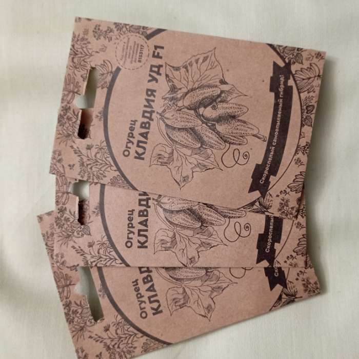 Фотография покупателя товара Семена Огурец "Клавдия", F1, 8 шт - Фото 3