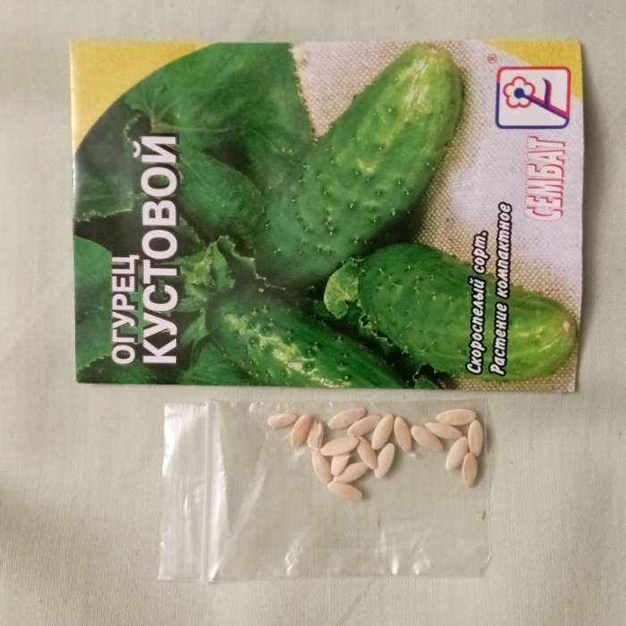Фотография покупателя товара Семена Огурец "Кустовой", 0,5 г - Фото 1