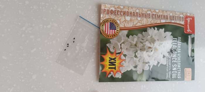 Фотография покупателя товара Семена цветов Лаванда Ellagance Snow узколистная  5шт.  12.29 г. - Фото 1