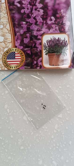 Фотография покупателя товара Семена Шалфей New Dimension Rose дубравный 5шт.  12.29 г. - Фото 1