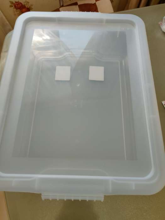 Фотография покупателя товара Контейнер для хранения с крышкой Porter, 8 л, 42.7×31.5×11.1 см, прозрачный - Фото 2