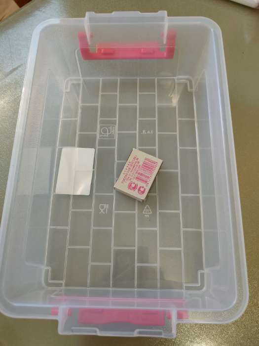 Фотография покупателя товара Контейнер для хранения с крышкой, 3.6 л, 31×20×9 см, прозрачный - Фото 1