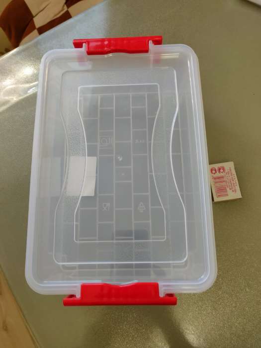 Фотография покупателя товара Контейнер для хранения с крышкой, 3.6 л, 31×20×9 см, прозрачный - Фото 3