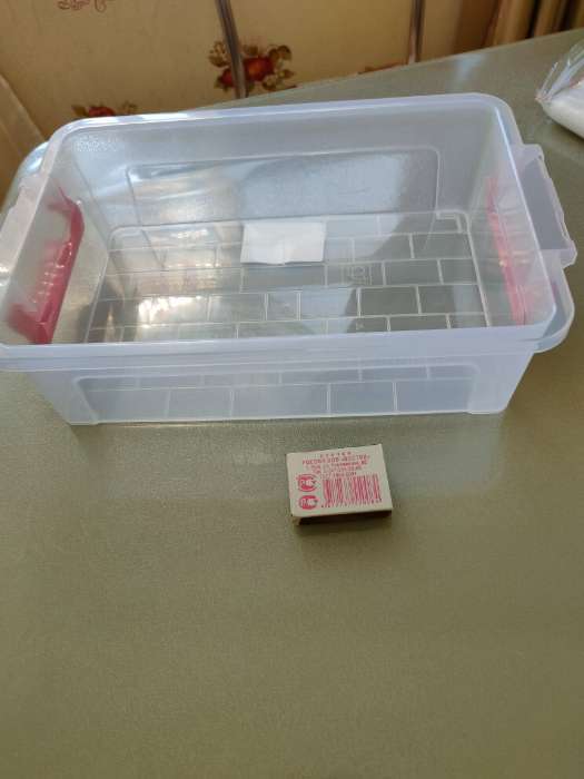 Фотография покупателя товара Контейнер для хранения с крышкой, 3.6 л, 31×20×9 см, прозрачный - Фото 2