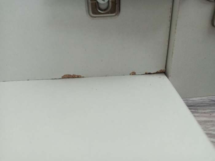 Фотография покупателя товара Шкаф прямой двухстворчатый для одежды «Лора», 1 ящик, 900×570×2200 мм, цвет белый - Фото 59