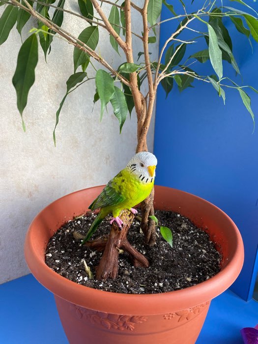 Фотография покупателя товара Фигура "Зеленый попугай" 9,5х8х16,5см - Фото 4