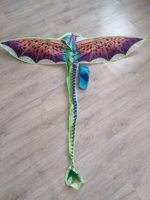 Фотография покупателя товара Воздушный змей «Дракон», с леской, цвета МИКС - Фото 1