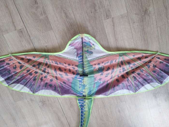 Фотография покупателя товара Воздушный змей «Дракон», с леской, цвета МИКС - Фото 2