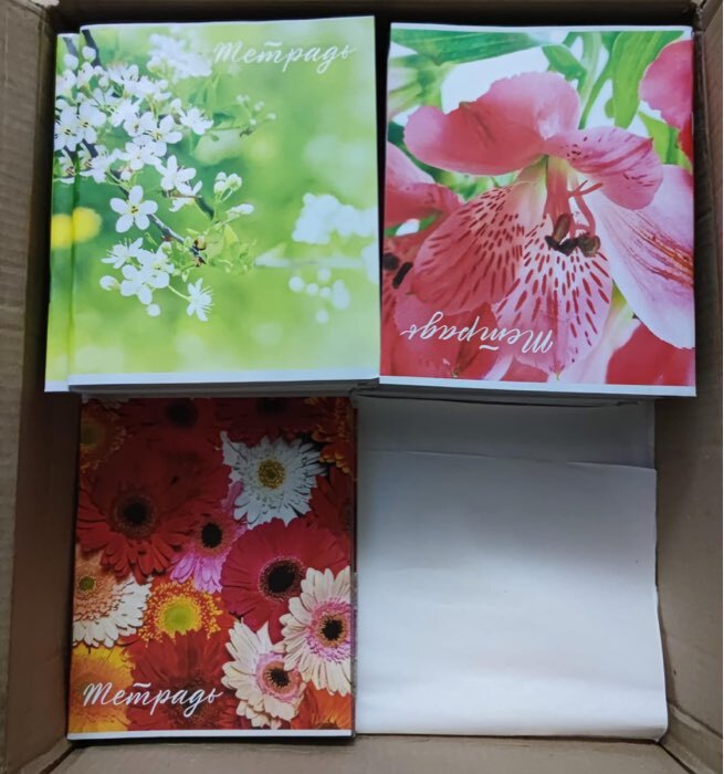 Фотография покупателя товара Тетрадь 48 листов в клетку Calligrata «Цветы», серые листы, МИКС - Фото 1