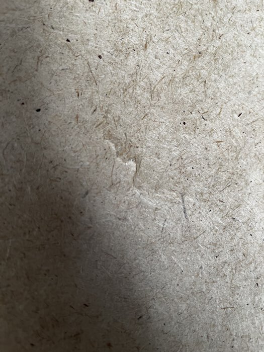 Фотография покупателя товара Диван п – образный «Майами 4», универсальный, механизм венеция, велюр, цвет галакси лайт 010 - Фото 10