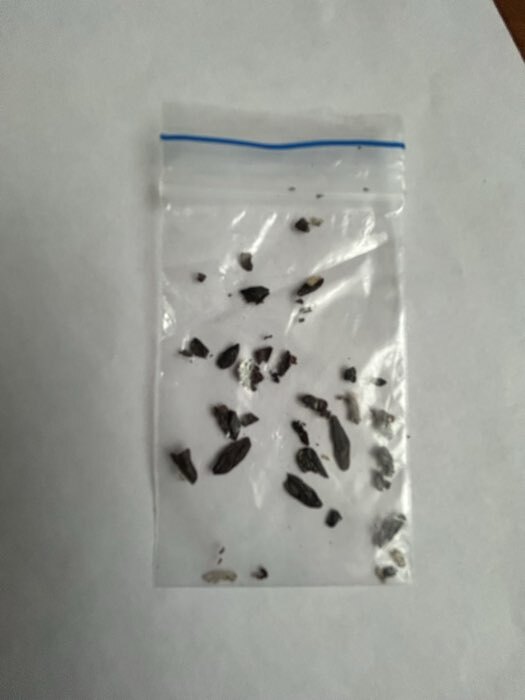 Фотография покупателя товара Семена цветов Хоста Гибридная Смесь 0,02 г.  12.29 г. - Фото 1