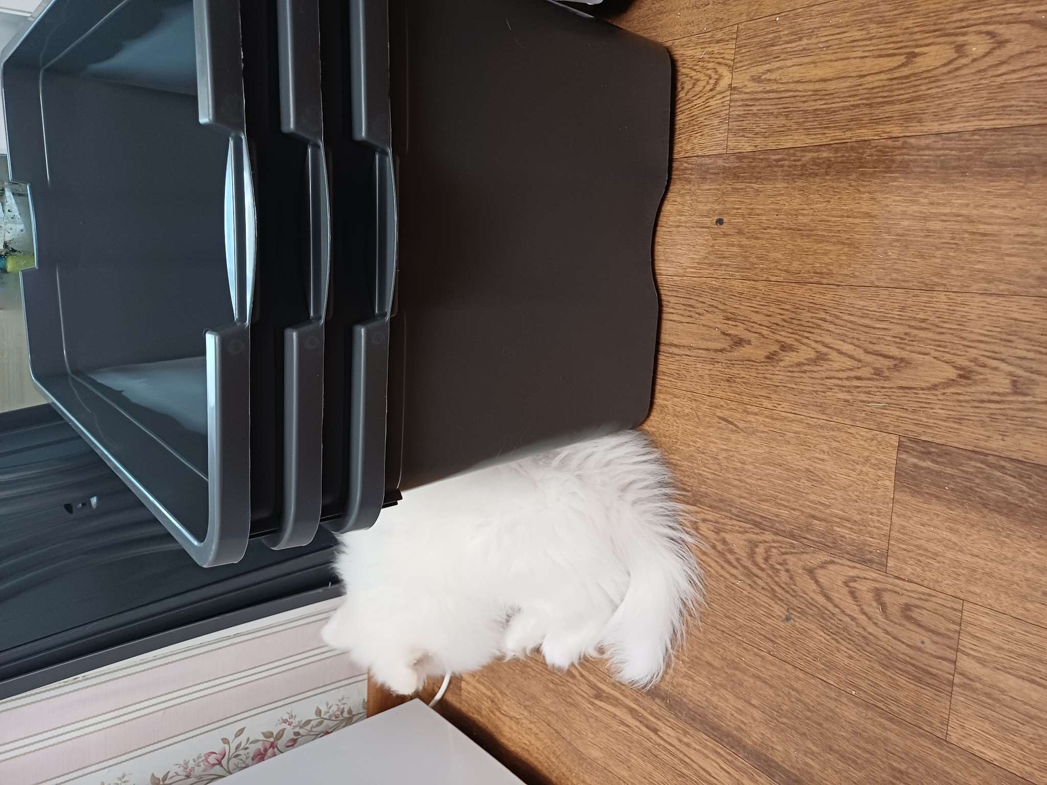 Фотография покупателя товара Контейнер для хранения с крышкой «Эконом», 75 л, 77.5×42.5×33 см, прямоугольный, МИКС - Фото 1