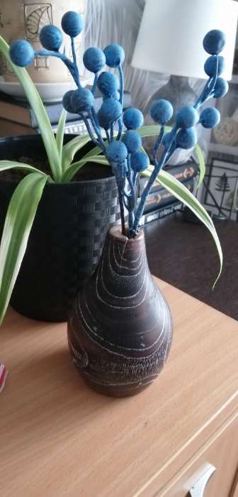 Фотография покупателя товара Ваза для сухоцветов «Аделина», 10×10×15 см, дерево джати, тёмно-коричневая - Фото 1