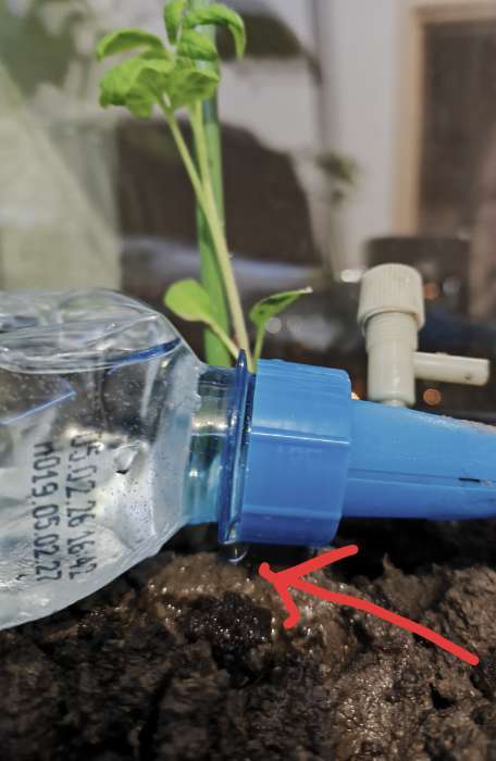 Фотография покупателя товара Автополив для комнатных растений под бутылку, h=13.5 см, регулируемый, с краном, Greengo - Фото 5