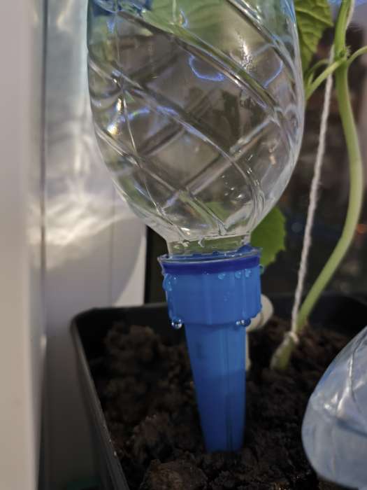 Фотография покупателя товара Автополив для комнатных растений под бутылку, h=13.5 см, регулируемый, с краном, Greengo - Фото 6