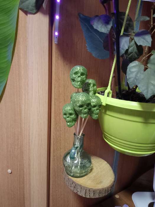 Фотография покупателя товара Фигурка для поделок и декора «Череп», набор 6 шт., размер 1 шт: 4 × 4,5 × 4,5 см, цвет золотой - Фото 1