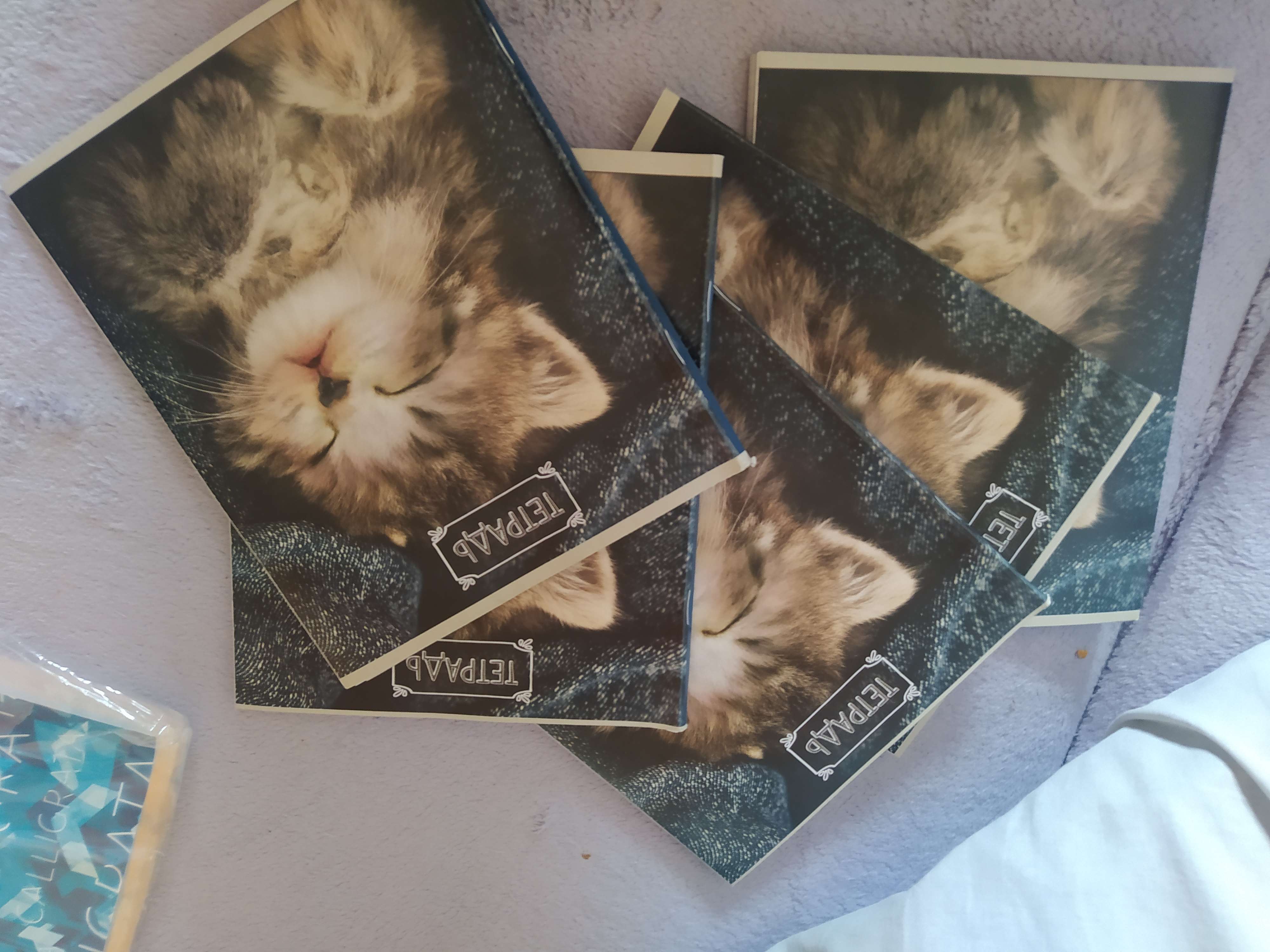 Фотография покупателя товара Тетрадь 48 листов в клетку Calligrata "Милые котята", обложка мелованный картон, блок №2, белизна 75% (серые листы), МИКС