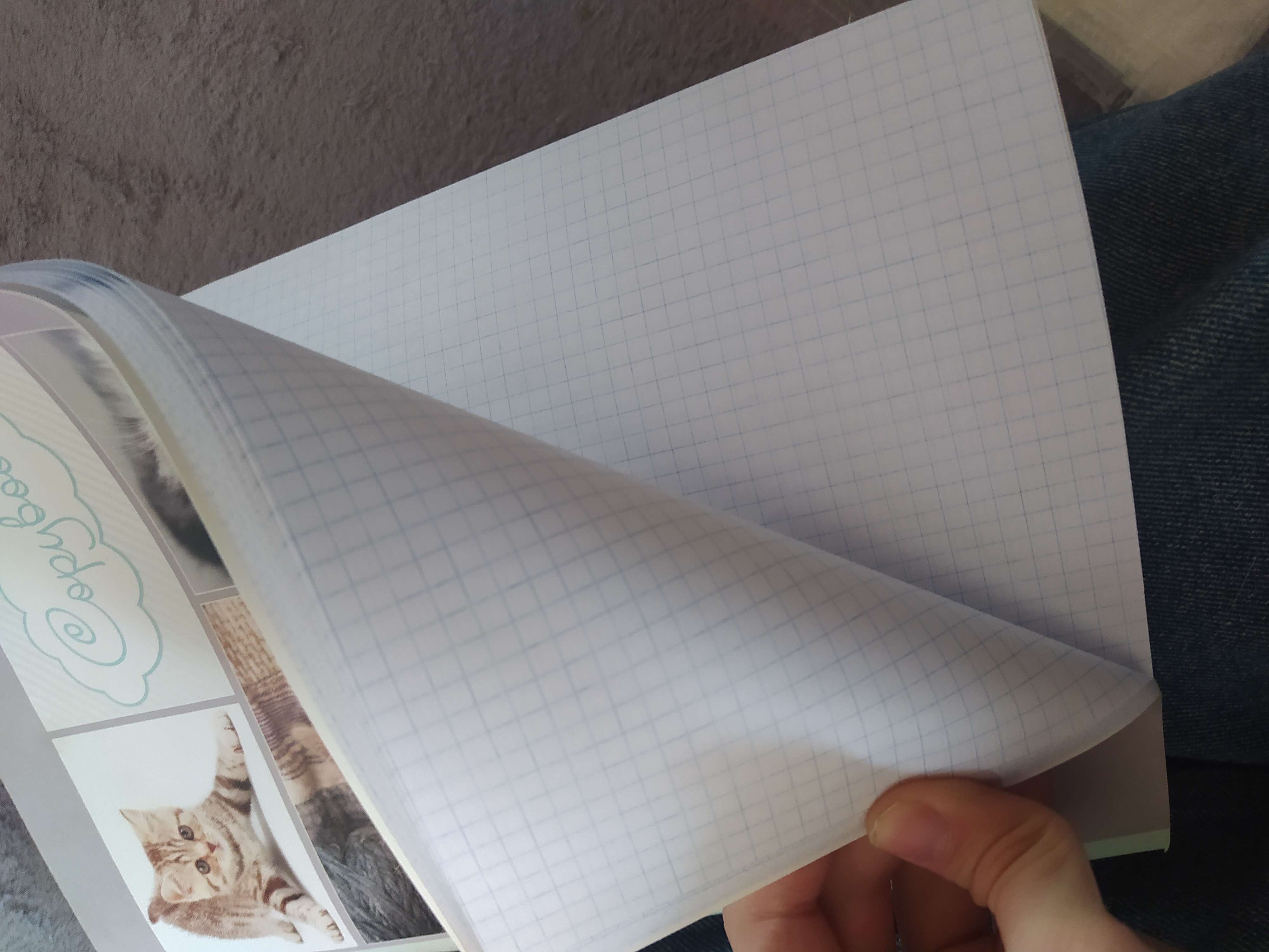 Фотография покупателя товара Тетрадь А4, 48 листов в клетку Calligrata "Котята", обложка мелованный картон, блок офсет - Фото 7