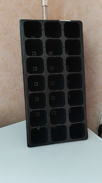 Фотография покупателя товара Кассета для выращивания рассады Greengo на 21 ячейку, по 200 мл, из пластика, 54×28×10 см - Фото 4