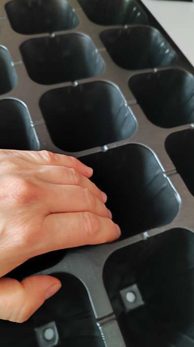 Фотография покупателя товара Кассета для выращивания рассады Greengo на 21 ячейку, по 200 мл, из пластика, 54×28×10 см - Фото 5