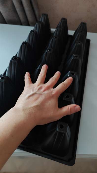 Фотография покупателя товара Кассета для выращивания рассады Greengo на 21 ячейку, по 200 мл, из пластика, 54×28×10 см - Фото 3