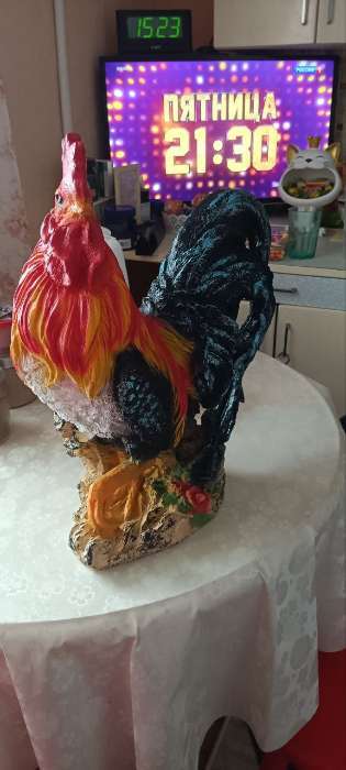 Фотография покупателя товара Садовая фигура из полистоуна «Петух андалузский», 42×20×38 см - Фото 1