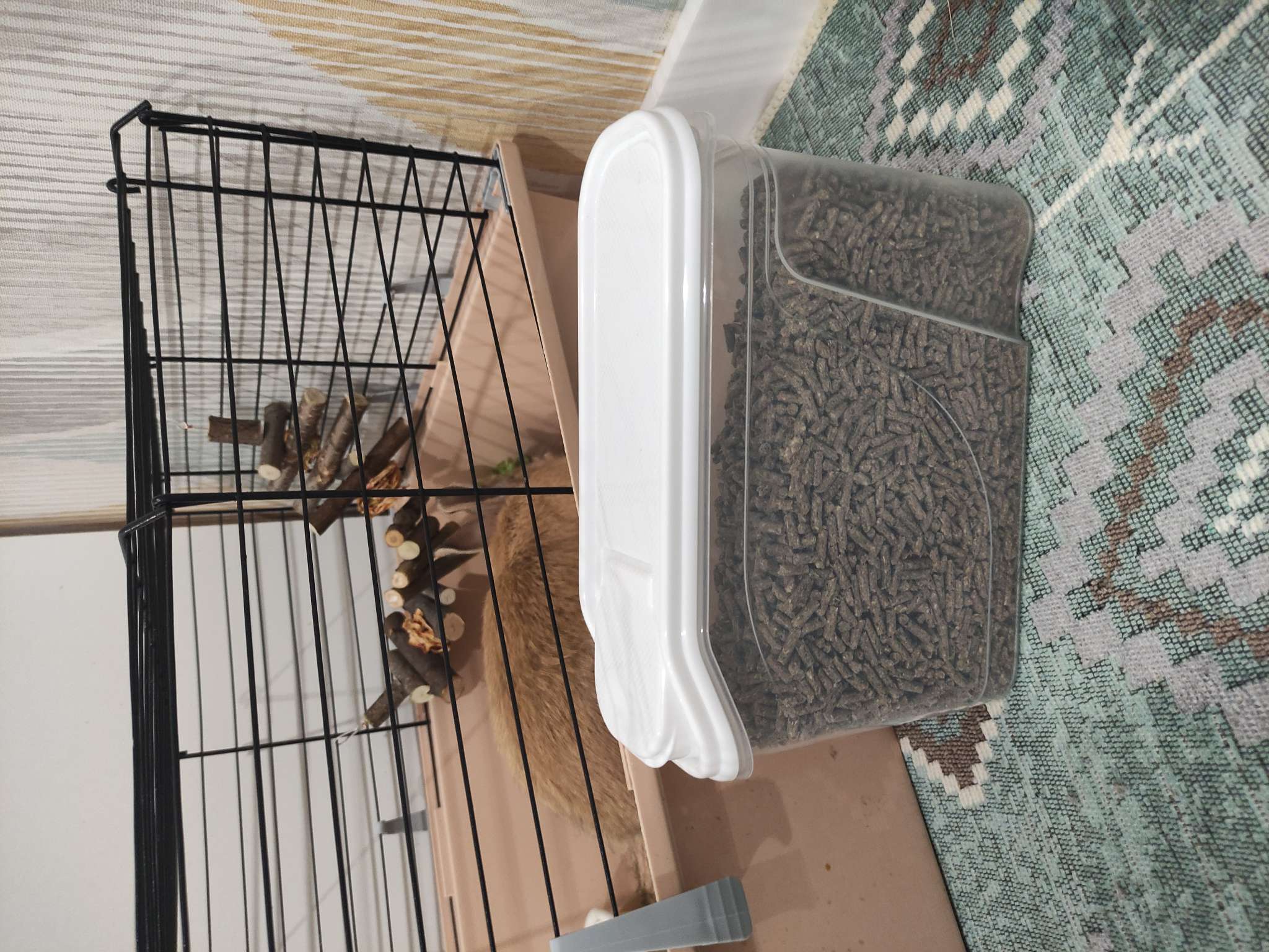 Фотография покупателя товара Ёмкость для хранения сыпучих продуктов phibo, 1.5 л, пластик, прозрачная, крышка МИКС - Фото 1