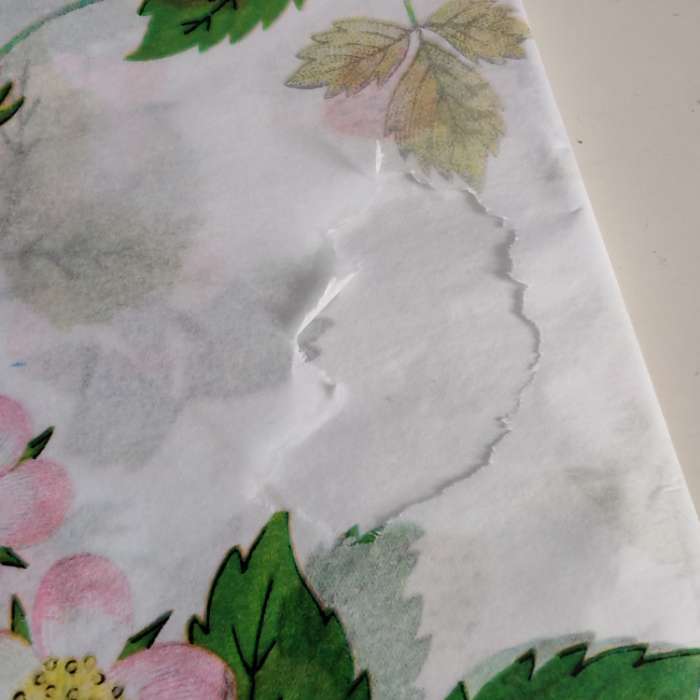 Фотография покупателя товара Бумага упаковочная тишью, «Весенний сад», 50 см × 70 см 17 грамм - Фото 24