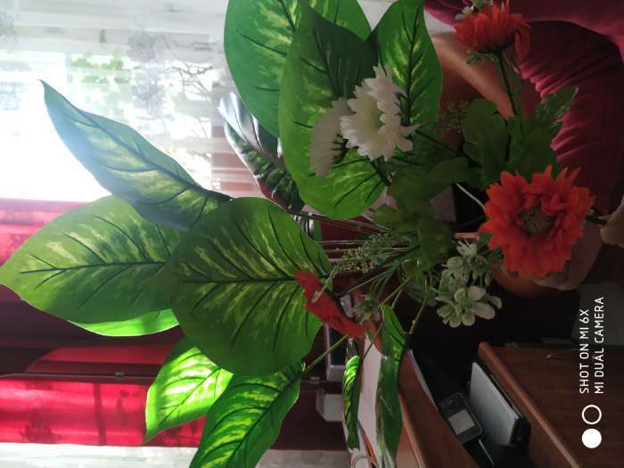 Фотография покупателя товара Куст искусственный «Диффенбахия», h=65 см