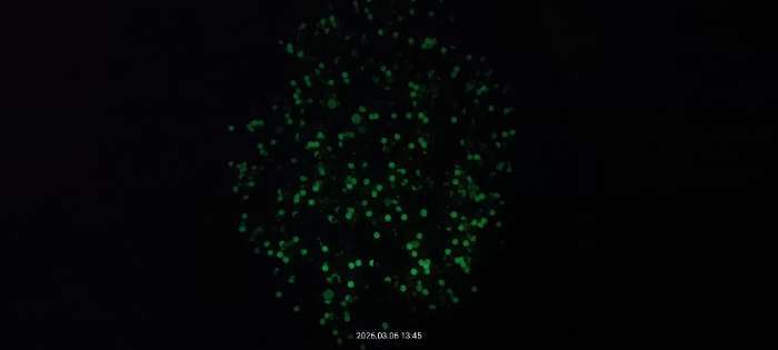 Фотография покупателя товара Гелевые пульки, светятся в темноте, d=7-8 мм, 1000 шт. - Фото 1