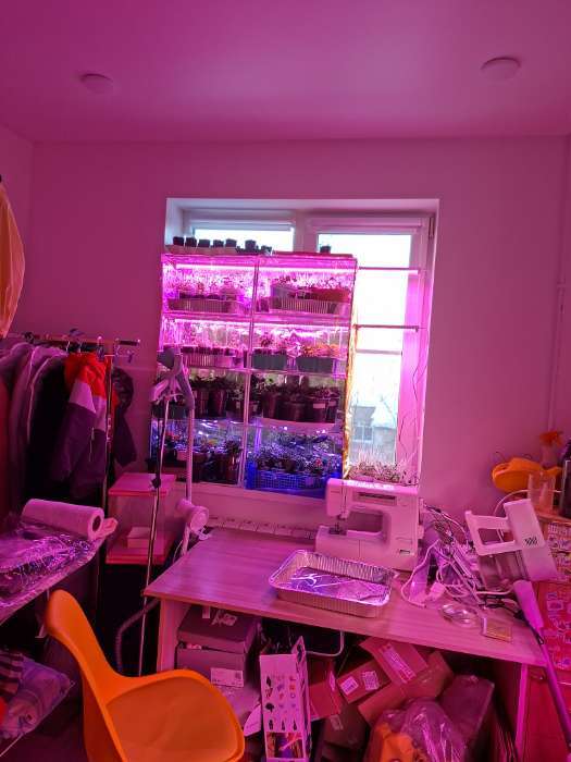 Фотография покупателя товара Фитосветильник светодиодный Luazon, 36 Вт, 1200 мм, IP40, 220 В, мультиспектральный - Фото 1