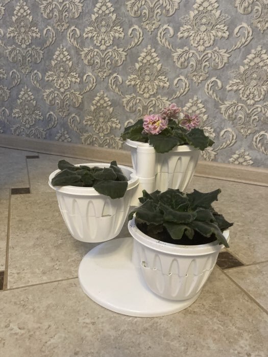 Фотография покупателя товара Кашпо многоярусное Plast-Avenue «Каскад», 3 шт., 700 мл, пластик, белое - Фото 1