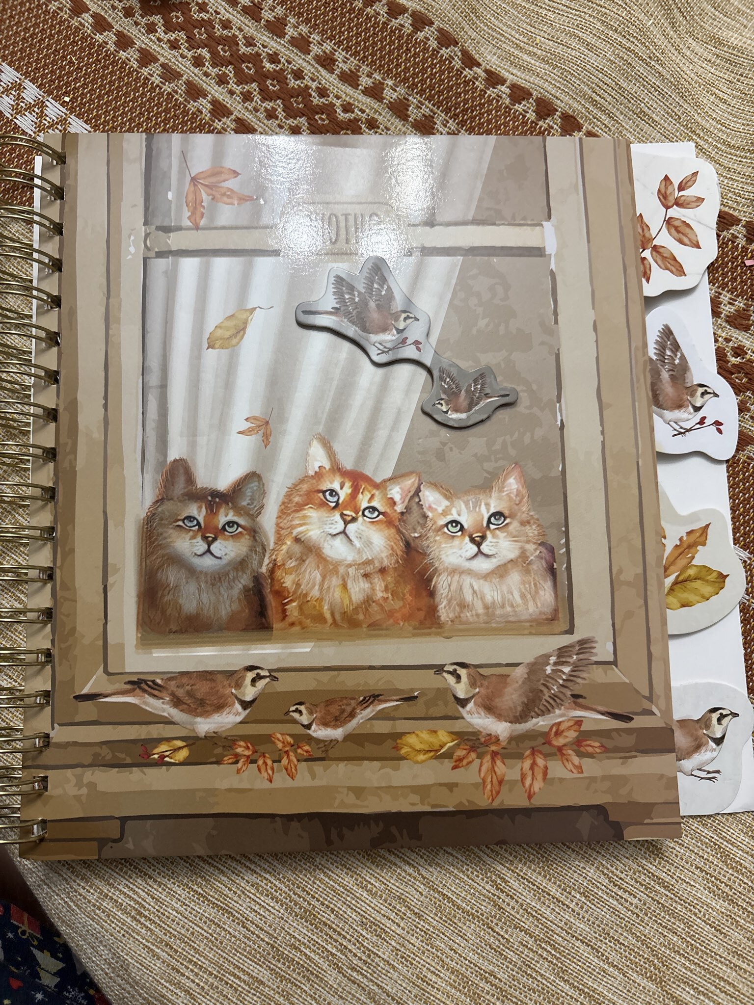 Фотография покупателя товара УЦЕНКА Фотоальбом на спирали 20 листов "Котики в окне" объёмный элемент + 4 вкладки 24х24 см 10499 - Фото 3