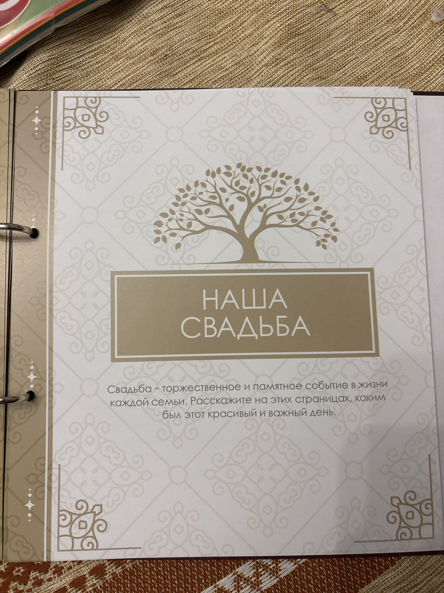 Фотография покупателя товара Родословная книга «Книга нашей семьи», 84 страницы, 24.5×23×4 см - Фото 3