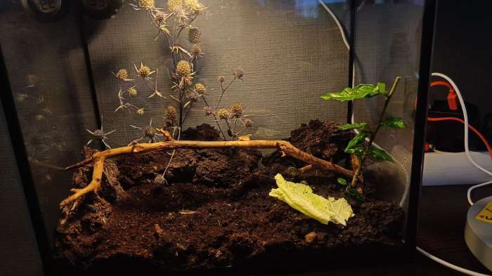 Фотография покупателя товара Аквариум Прямоугольный «Атолл» без крышки, 13 л, 30×16×26 см - Фото 1